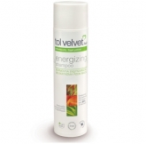 ENERGIZING SHAMPOO DRY HAIR
